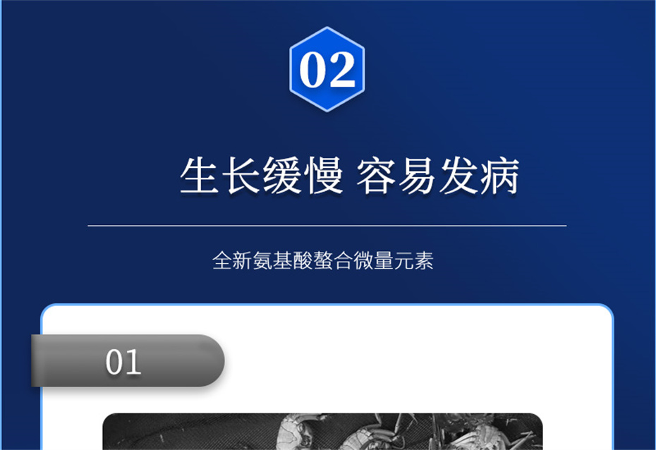 188金宝搏安卓下载
动保水产饲料添加剂速补微+产品介绍 188金宝搏安卓下载
动保水产饲料添加剂速补微+产品介绍