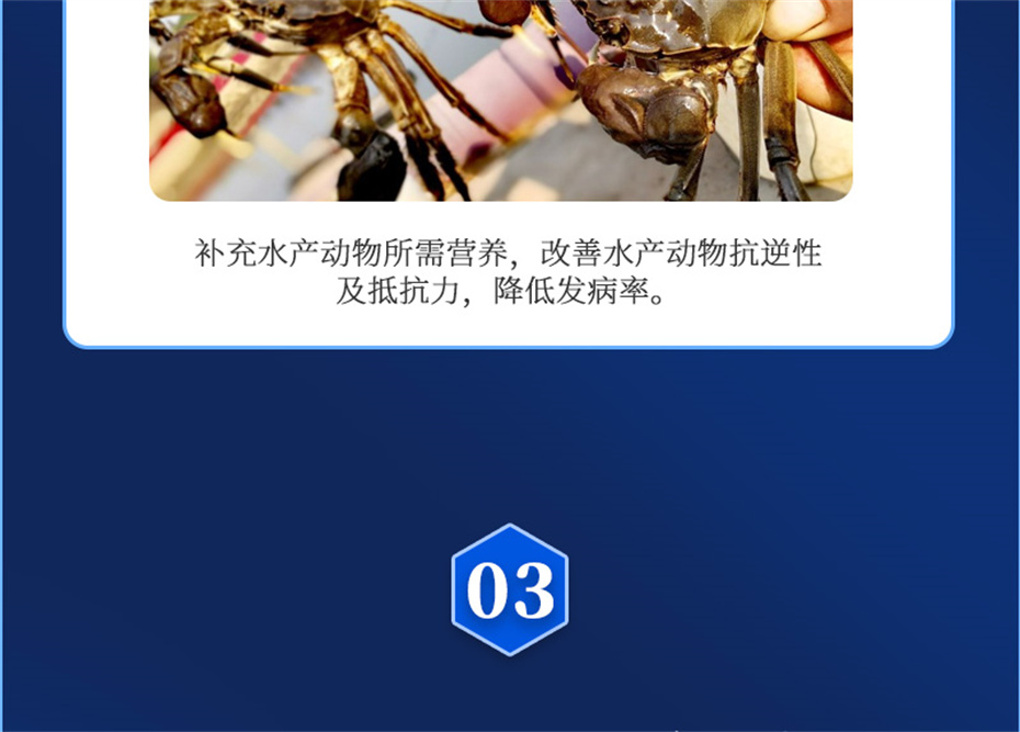 188金宝搏安卓下载
动保水产饲料添加剂速补微+产品介绍 188金宝搏安卓下载
动保水产饲料添加剂速补微+产品介绍