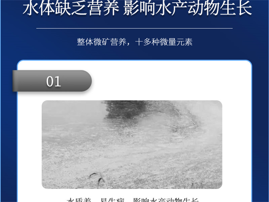 188金宝搏安卓下载
动保水产饲料添加剂速补微+产品介绍 188金宝搏安卓下载
动保水产饲料添加剂速补微+产品介绍