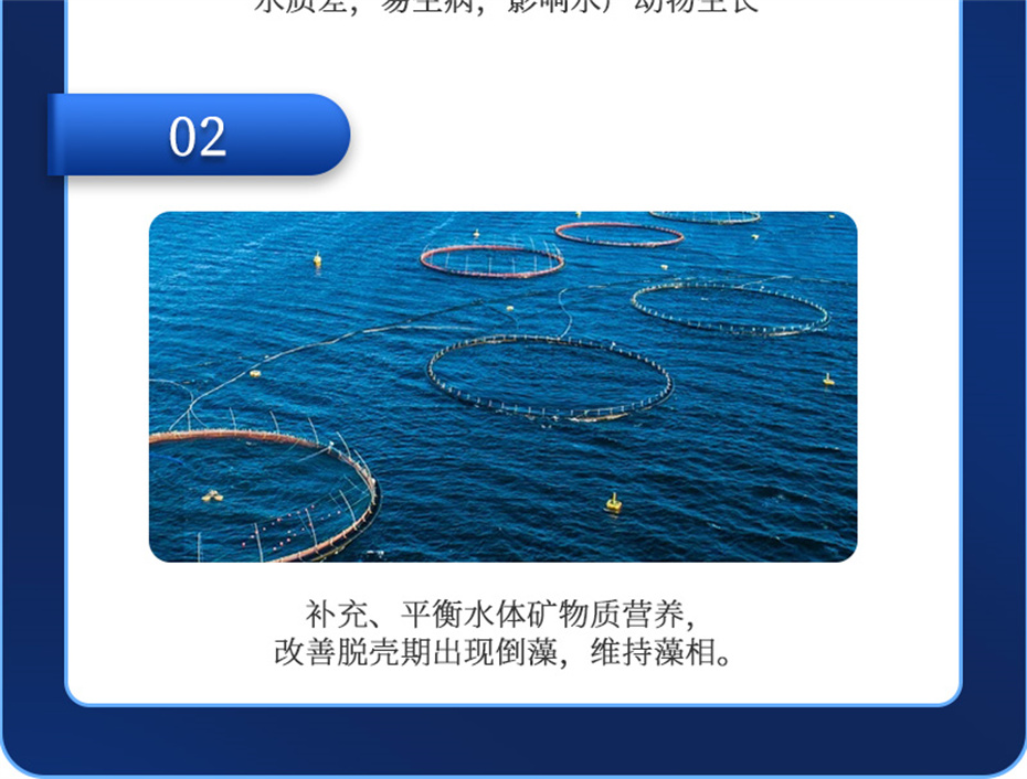 188金宝搏安卓下载
动保水产饲料添加剂速补微+产品介绍 188金宝搏安卓下载
动保水产饲料添加剂速补微+产品介绍