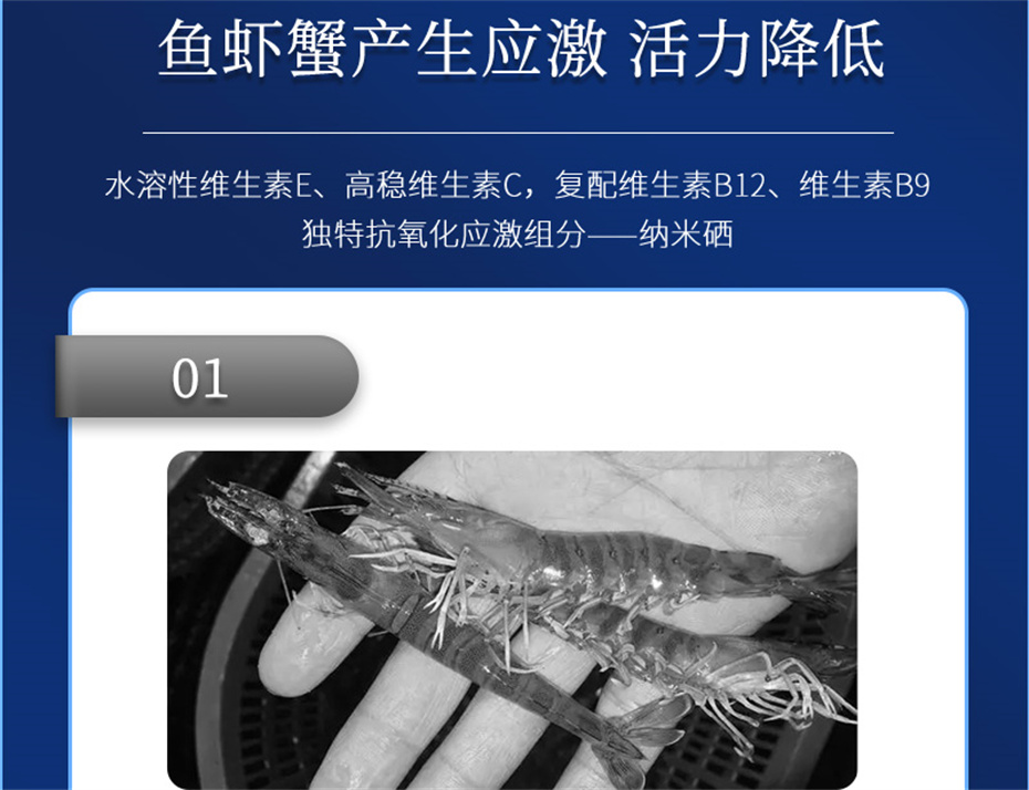 188金宝搏安卓下载
动保水产饲料添加剂抗激1号产品介绍 188金宝搏安卓下载
动保水产饲料添加剂抗激1号产品介绍