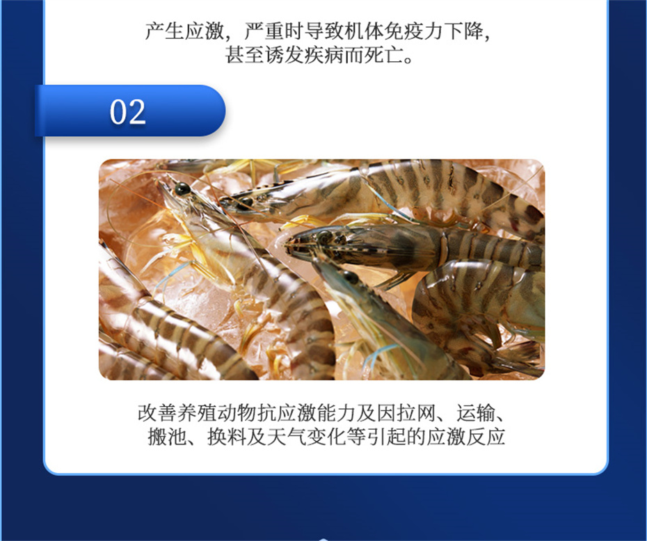 188金宝搏安卓下载
动保水产饲料添加剂抗激1号产品介绍 188金宝搏安卓下载
动保水产饲料添加剂抗激1号产品介绍