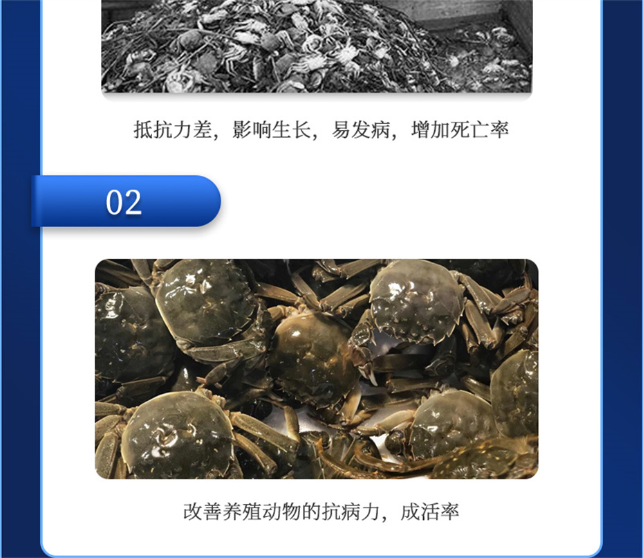 188金宝搏安卓下载
动保水产饲料添加剂抗激1号产品介绍 188金宝搏安卓下载
动保水产饲料添加剂抗激1号产品介绍