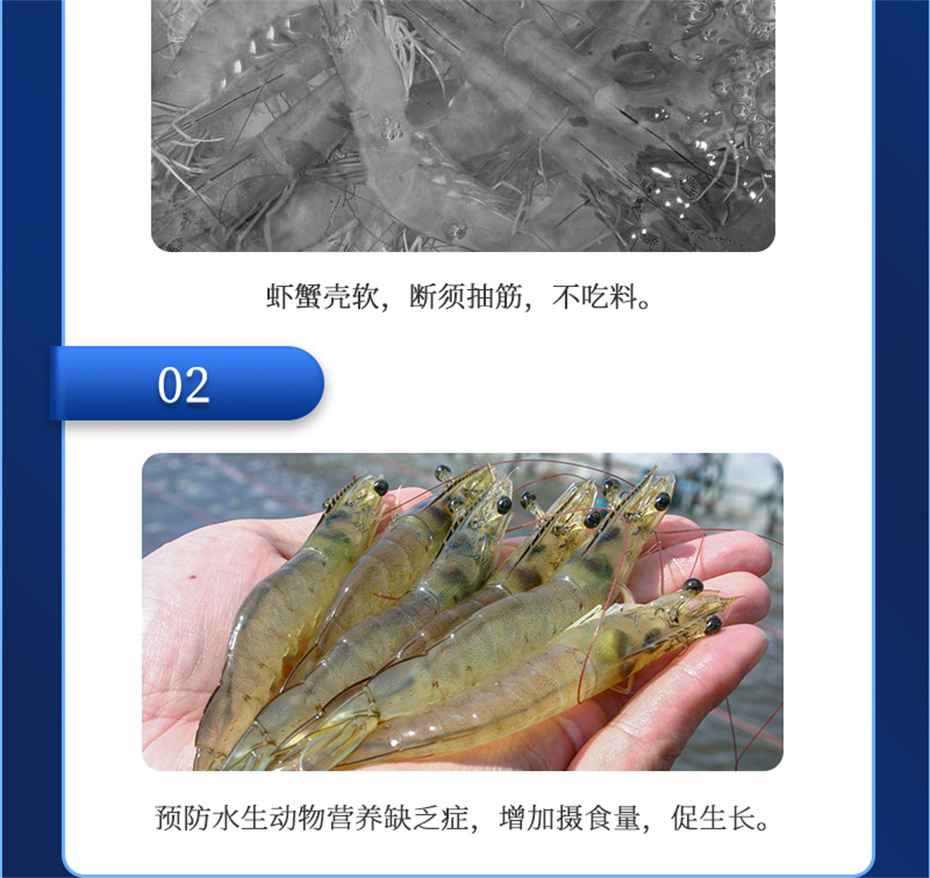 188金宝搏安卓下载
动保水产饲料添加剂维他1号产品介绍 188金宝搏安卓下载
动保水产饲料添加剂维他1号产品介绍