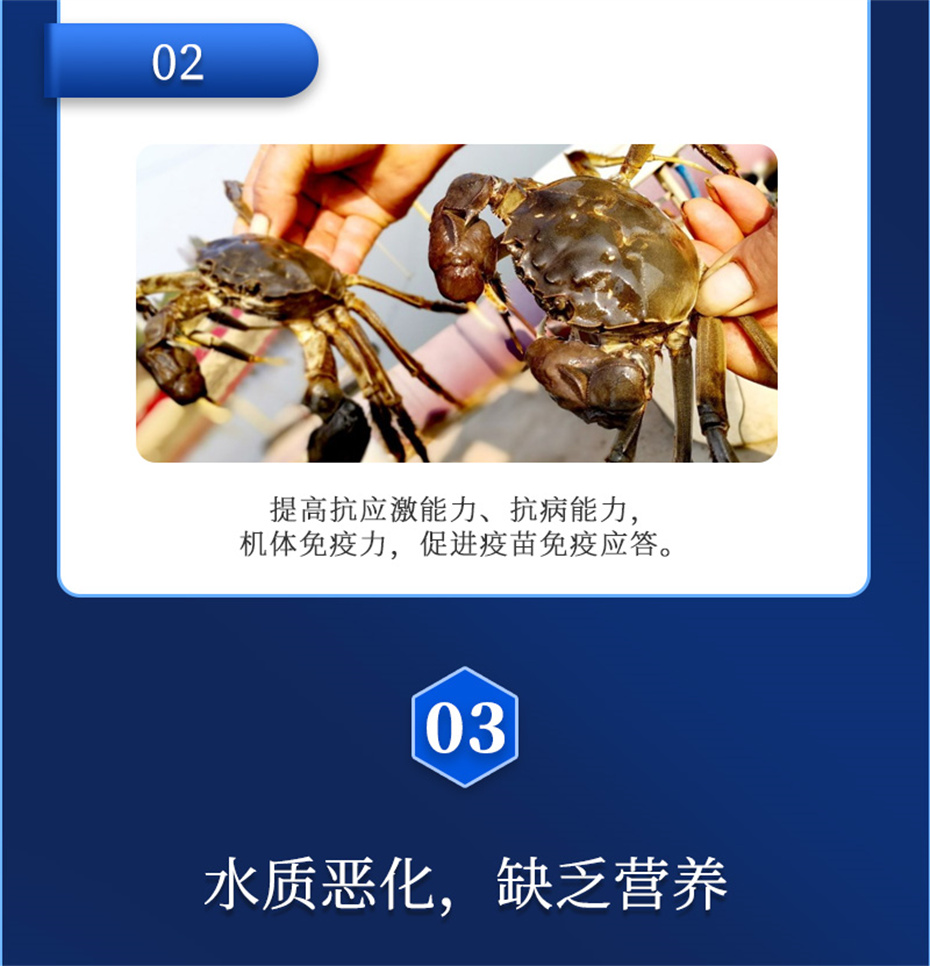 188金宝搏安卓下载
动保水产饲料添加剂维他1号产品介绍 188金宝搏安卓下载
动保水产饲料添加剂维他1号产品介绍