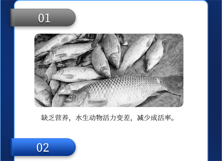 188金宝搏安卓下载
动保水产饲料添加剂维他1号产品介绍 188金宝搏安卓下载
动保水产饲料添加剂维他1号产品介绍