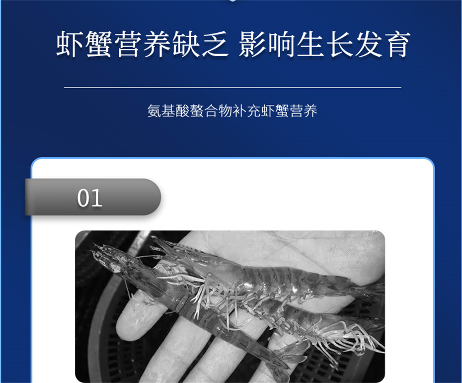 188金宝搏安卓下载
动保水产饲料添加剂虾康宝产品介绍 188金宝搏安卓下载
动保水产饲料添加剂虾康宝产品介绍