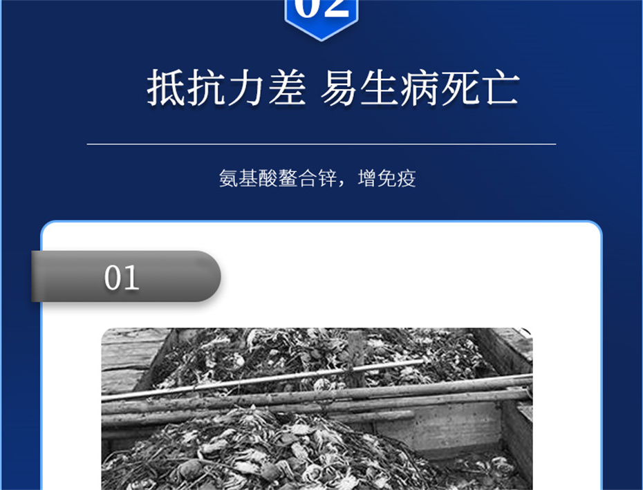 188金宝搏安卓下载
动保水产饲料添加剂虾康宝产品介绍 188金宝搏安卓下载
动保水产饲料添加剂虾康宝产品介绍