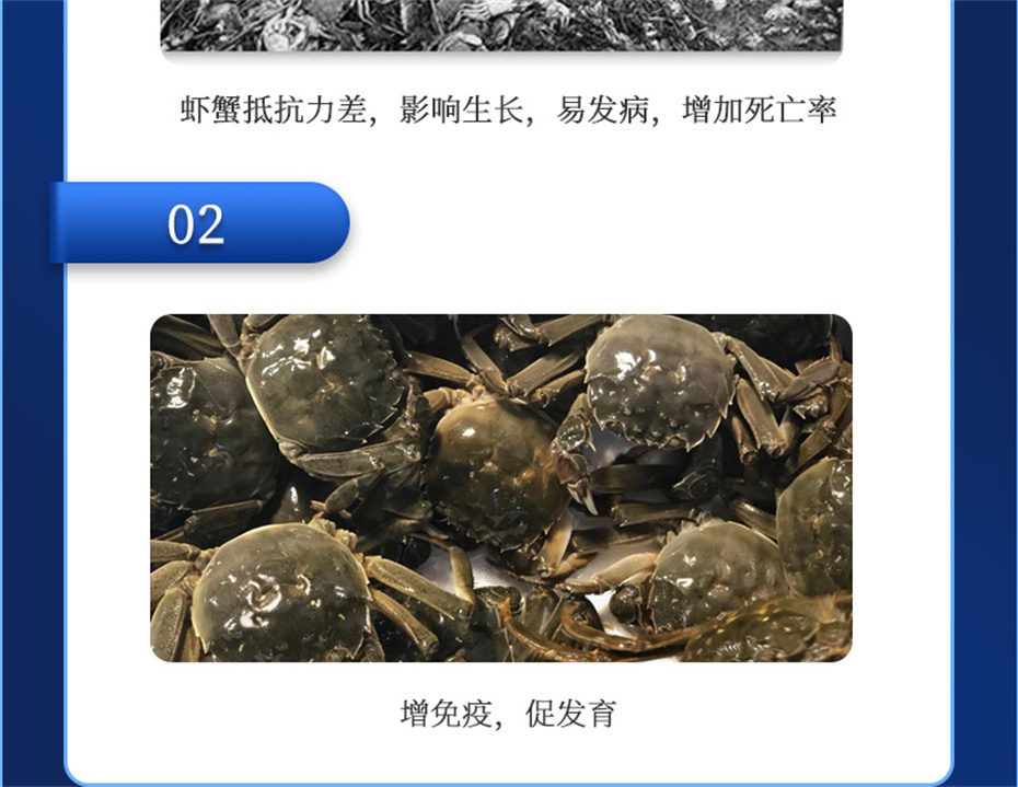 188金宝搏安卓下载
动保水产饲料添加剂虾康宝产品介绍 188金宝搏安卓下载
动保水产饲料添加剂虾康宝产品介绍