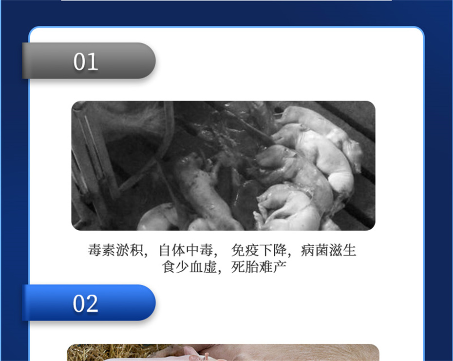 188金宝搏安卓下载
动保猪饲料添加剂母润通产品介绍 188金宝搏安卓下载
动保猪饲料添加剂母润通产品介绍