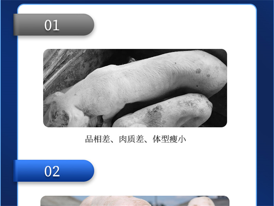 188金宝搏安卓下载
动保猪饲料添加剂母润通产品介绍 188金宝搏安卓下载
动保猪饲料添加剂母润通产品介绍