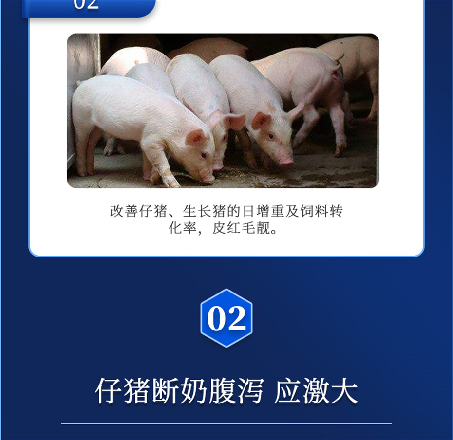 188金宝搏安卓下载
动保猪饲料添加剂仔猪断奶王产品介绍 188金宝搏安卓下载
动保猪饲料添加剂仔猪断奶王产品介绍