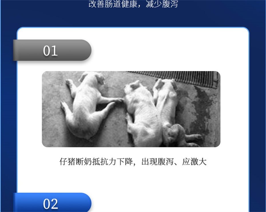 188金宝搏安卓下载
动保猪饲料添加剂仔猪断奶王产品介绍 188金宝搏安卓下载
动保猪饲料添加剂仔猪断奶王产品介绍