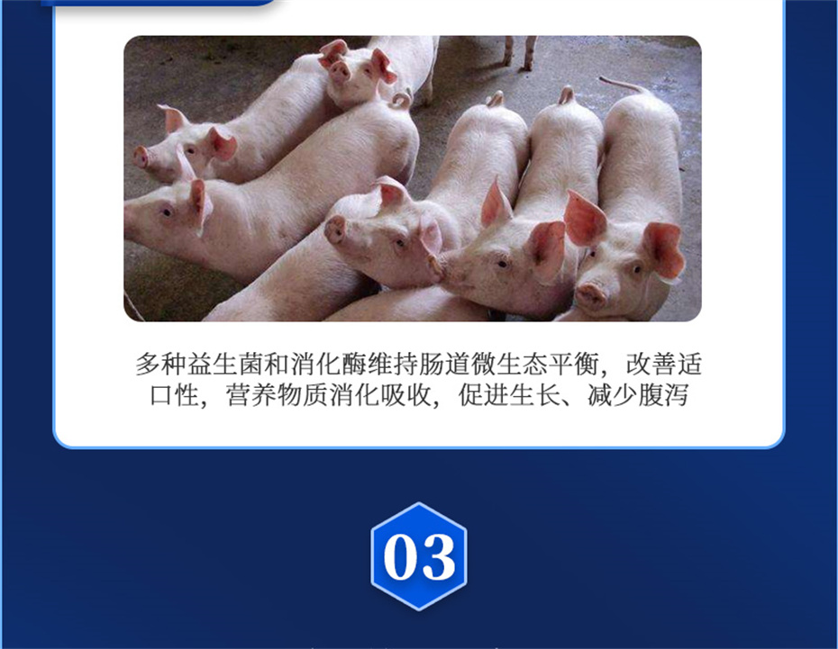 188金宝搏安卓下载
动保猪饲料添加剂仔猪断奶王产品介绍 188金宝搏安卓下载
动保猪饲料添加剂仔猪断奶王产品介绍