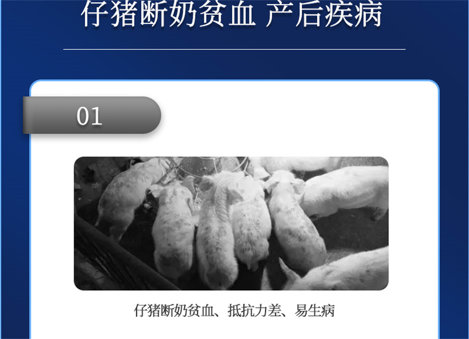 188金宝搏安卓下载
动保猪饲料添加剂仔猪断奶王产品介绍 188金宝搏安卓下载
动保猪饲料添加剂仔猪断奶王产品介绍