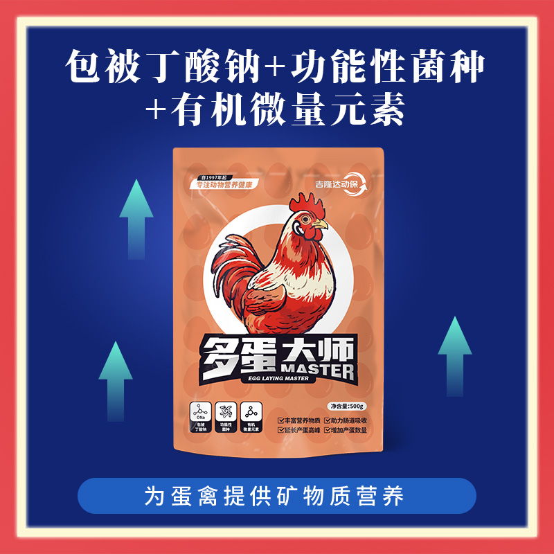 多蛋大师 多蛋大师