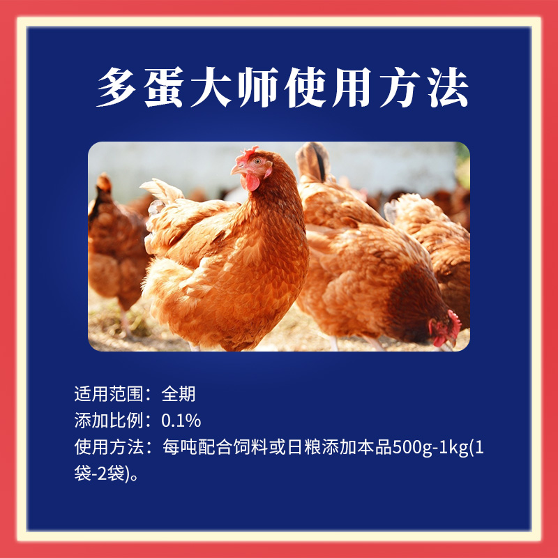 多蛋大师 多蛋大师