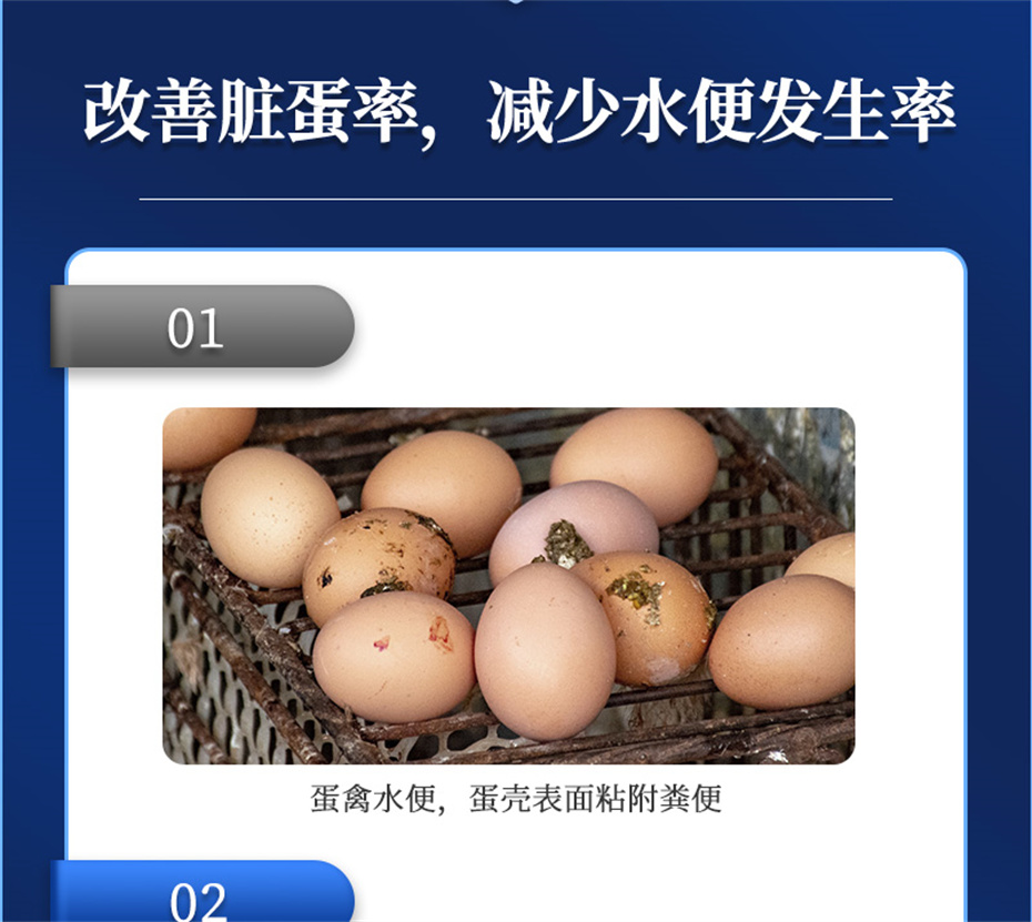 188金宝搏安卓下载
动保禽饲料添加剂强壳宝产品介绍 188金宝搏安卓下载
动保禽饲料添加剂强壳宝产品介绍