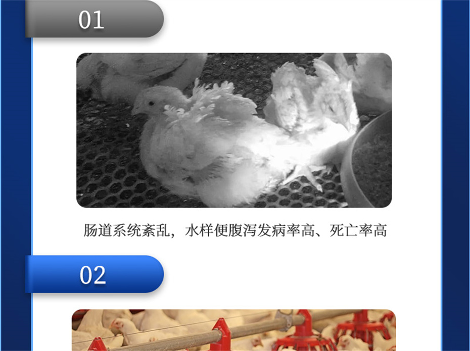 188金宝搏安卓下载
动保禽饲料添加剂美凤宝产品介绍 188金宝搏安卓下载
动保禽饲料添加剂美凤宝产品介绍