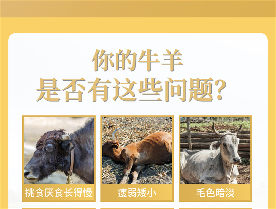 188金宝搏安卓下载
动保牛羊饲料添加剂牛羊壮膘王产品介绍 188金宝搏安卓下载
动保牛羊饲料添加剂牛羊壮膘王产品介绍