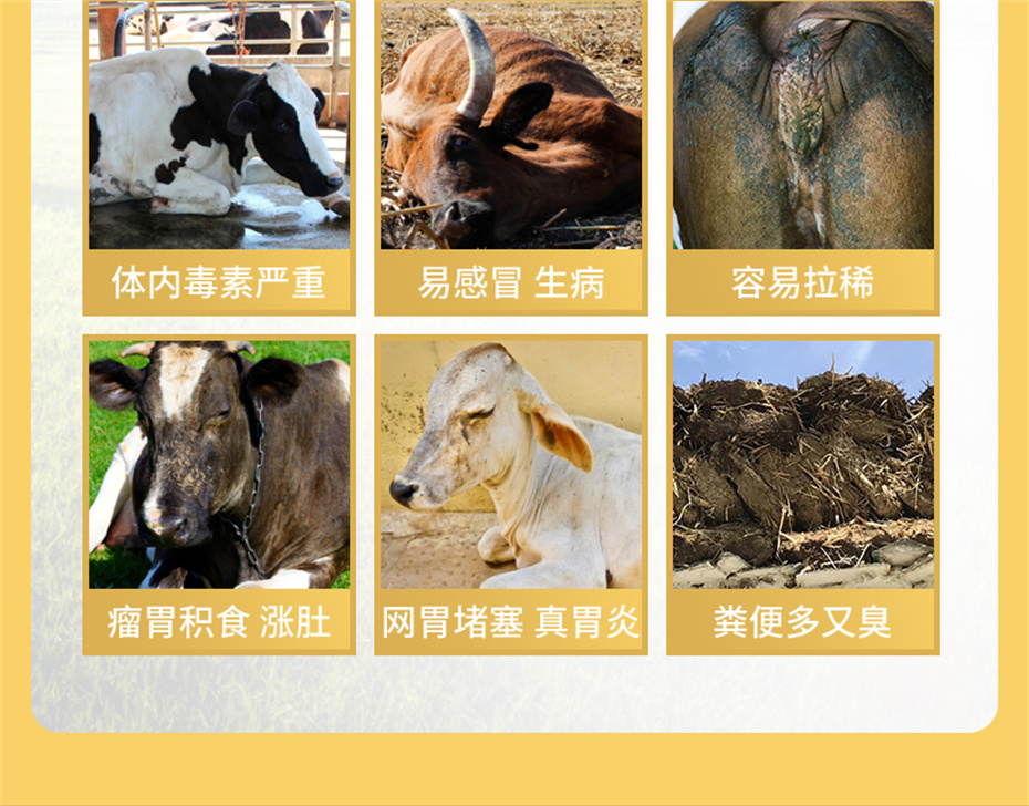 188金宝搏安卓下载
动保牛羊饲料添加剂牛羊壮膘王产品介绍 188金宝搏安卓下载
动保牛羊饲料添加剂牛羊壮膘王产品介绍