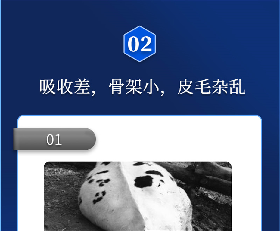 188金宝搏安卓下载
动保牛羊饲料添加剂牛羊元帅产品介绍 188金宝搏安卓下载
动保牛羊饲料添加剂牛羊元帅产品介绍