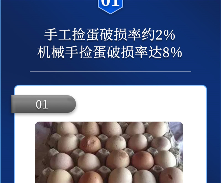 188金宝搏安卓下载
动保禽饲料添加剂强壳宝产品介绍 188金宝搏安卓下载
动保禽饲料添加剂强壳宝产品介绍