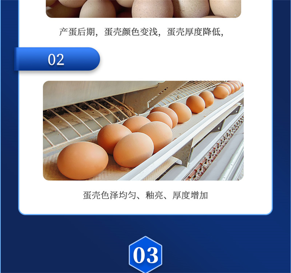 188金宝搏安卓下载
动保禽饲料添加剂强壳宝产品介绍 188金宝搏安卓下载
动保禽饲料添加剂强壳宝产品介绍