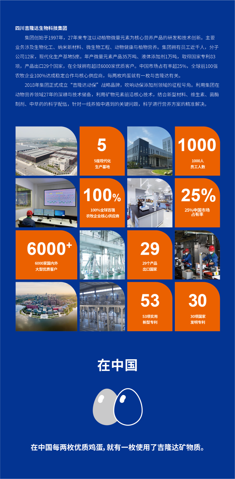 188金宝搏安卓下载动保