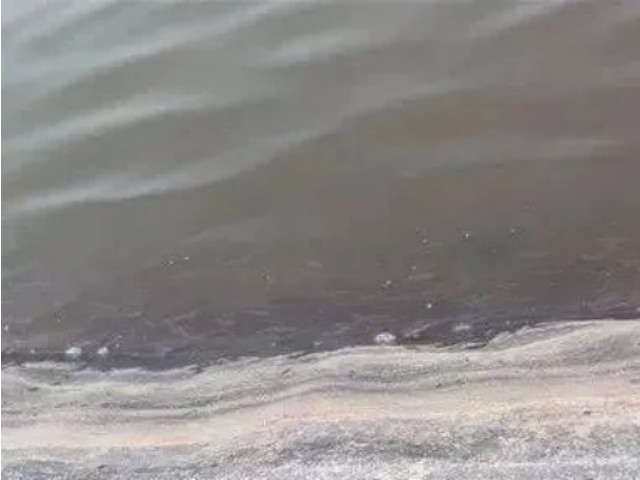 【养虾必看】对虾游塘的原因和对应解决办法！建议收藏~