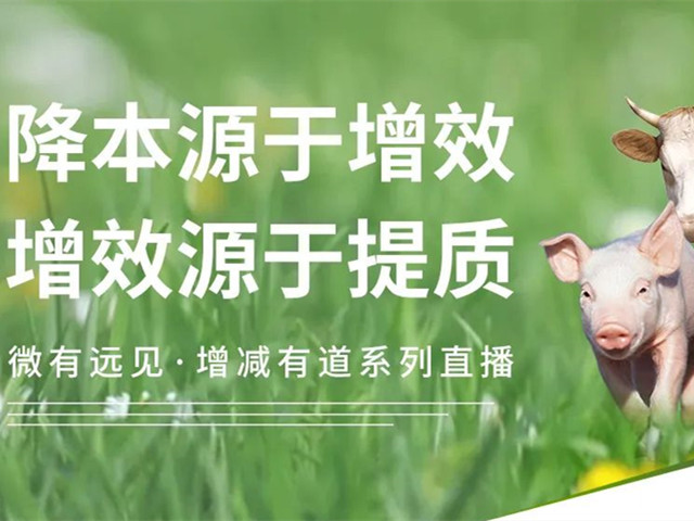 必看！畜禽养殖如何实现降本增效？188金宝搏安卓下载增减有道系列直播不容错过