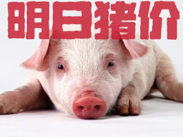 明日猪价 | 2025年1月10日全国猪价行情一览表！