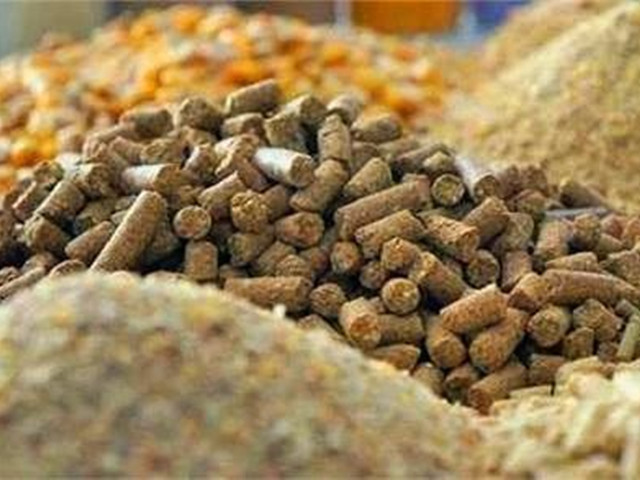 探讨丨当前饲料业发展存在哪些问题？