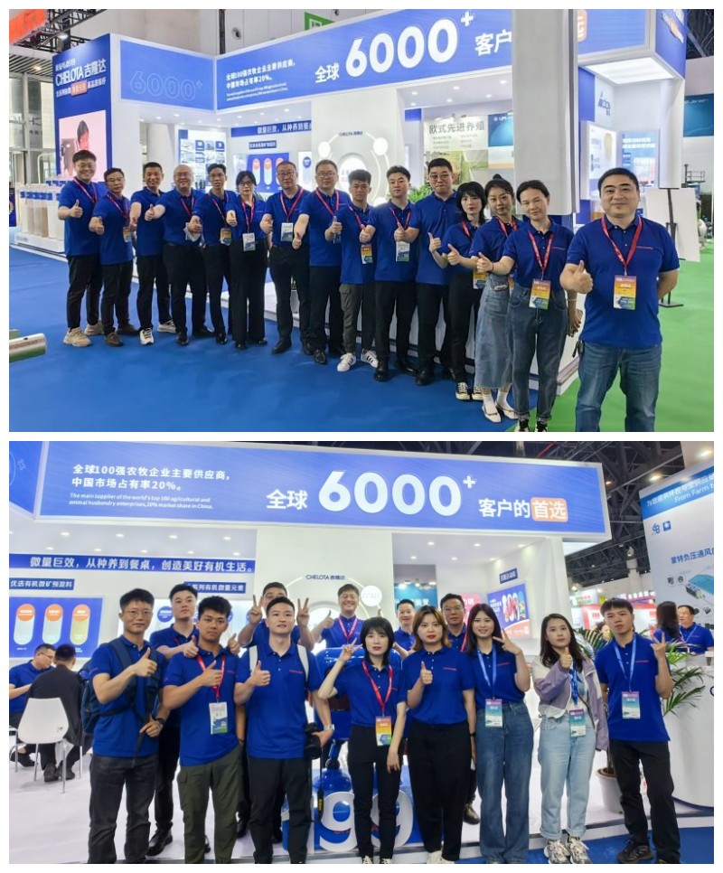 畜博会188金宝搏安卓下载服务团队