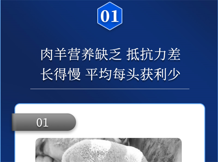 188金宝搏安卓下载动保羊饲料添加剂肉羊多矿产品介绍