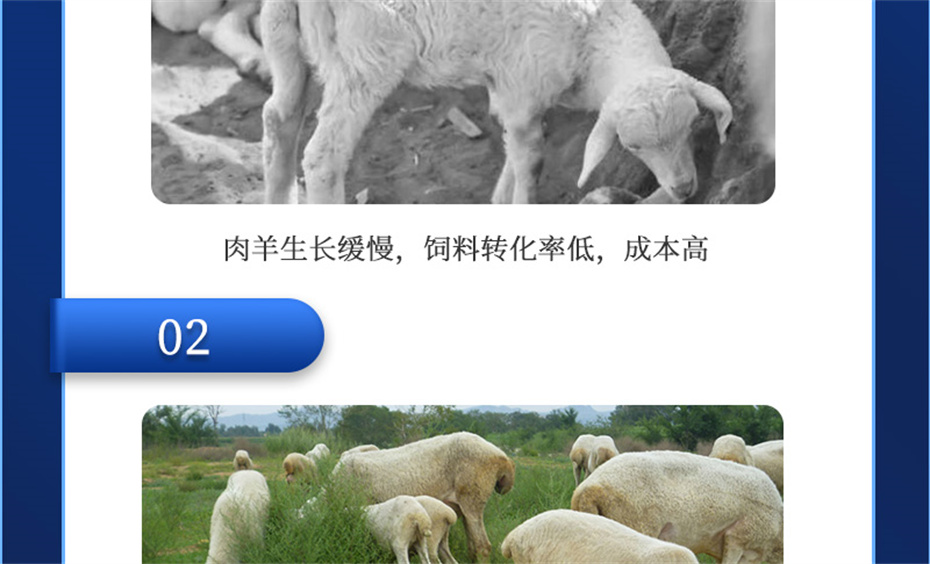 188金宝搏安卓下载动保羊饲料添加剂肉羊多矿产品介绍