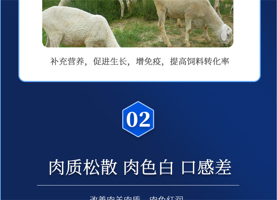 188金宝搏安卓下载动保羊饲料添加剂肉羊多矿产品介绍