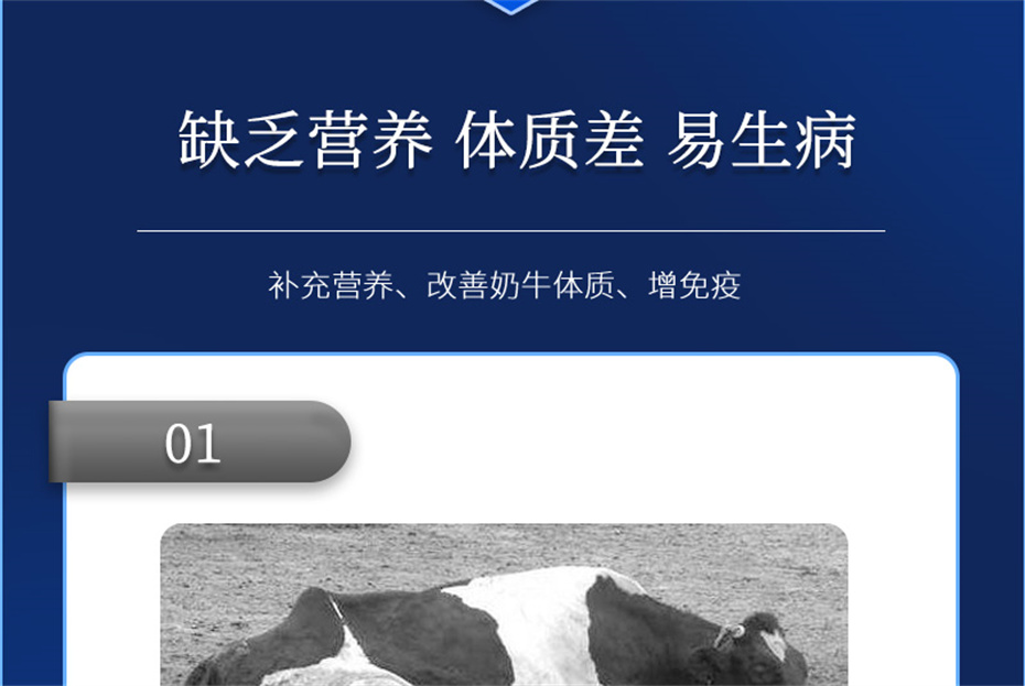 188金宝搏安卓下载动保牛饲料添加剂奶牛多矿产品介绍