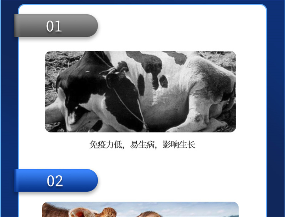 188金宝搏安卓下载动保牛羊饲料添加剂健立血牛羊产品介绍