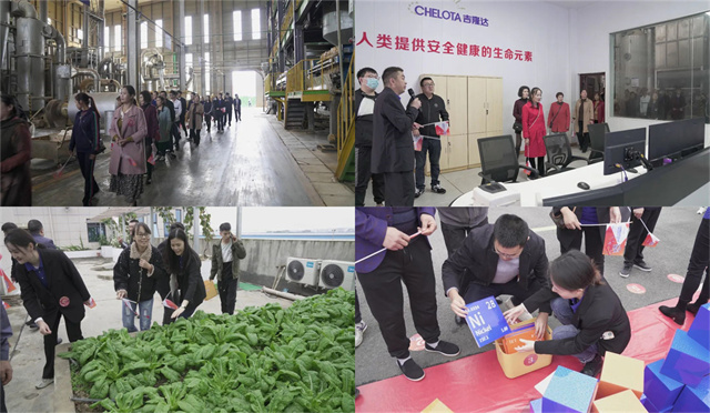 饲料添加剂厂家188金宝搏安卓下载25周年庆