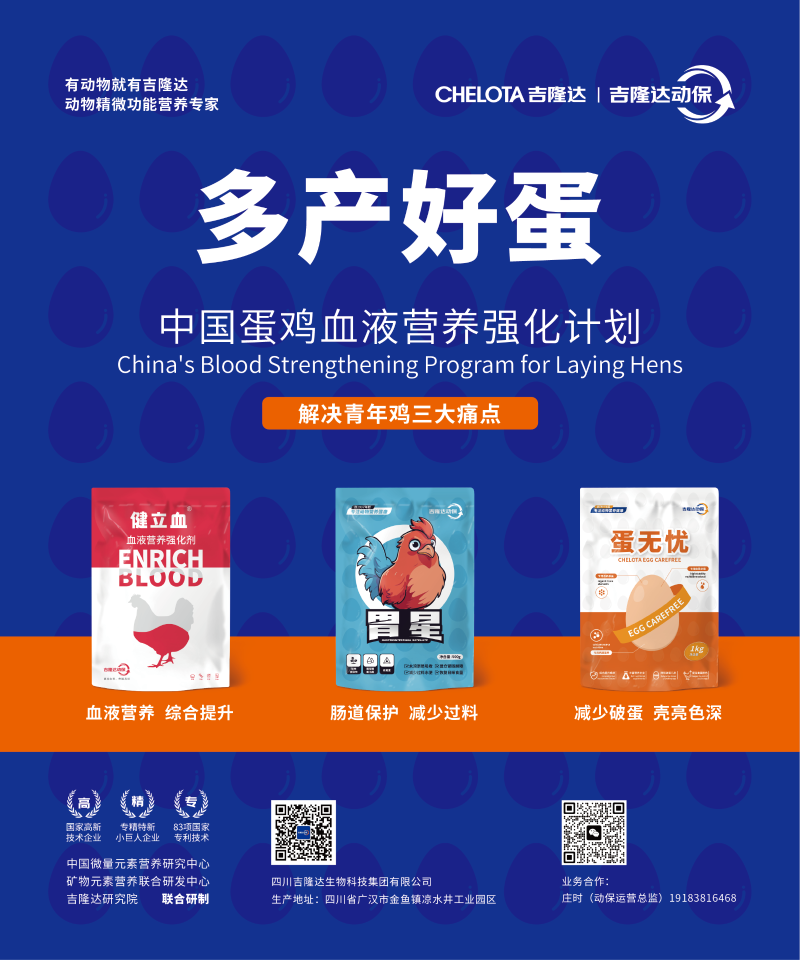 20250214青年鸡论坛-01