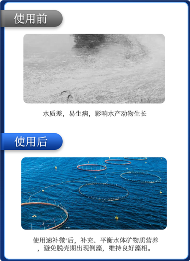 188金宝搏安卓下载有机微量元素速补微+对虾补钙效果