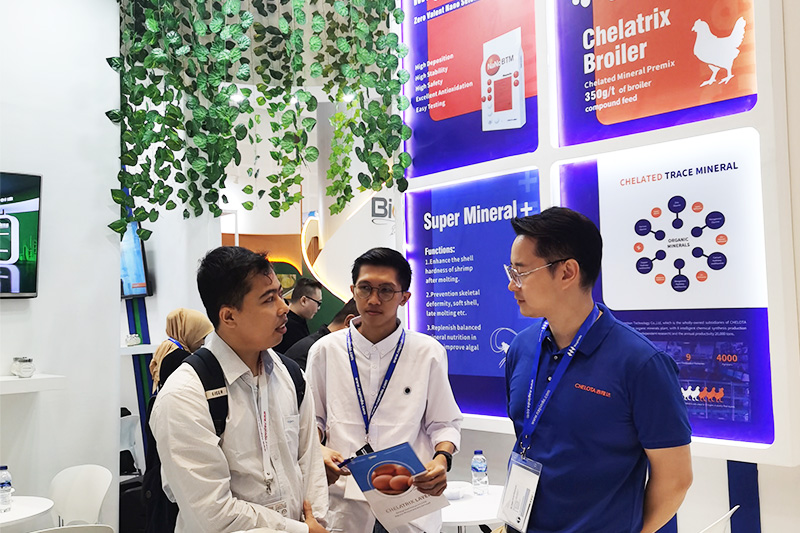 188金宝搏安卓下载参展印尼家禽畜牧展