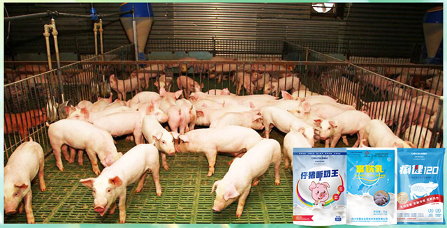 188金宝搏安卓下载动保饲料添加剂