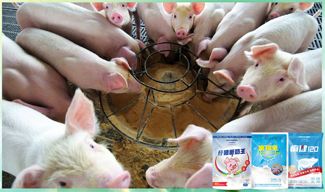 188金宝搏安卓下载动保饲料添加剂