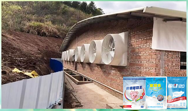 188金宝搏安卓下载动保饲料添加剂