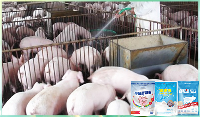 188金宝搏安卓下载动保饲料添加剂