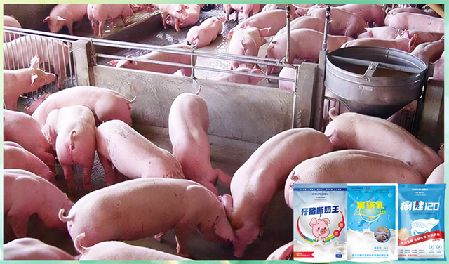 188金宝搏安卓下载动保饲料添加剂