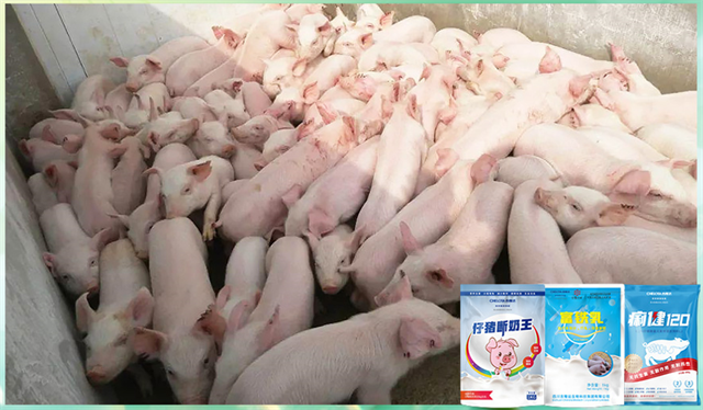 188金宝搏安卓下载动保饲料添加剂