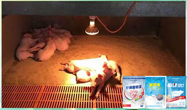 188金宝搏安卓下载动保饲料添加剂